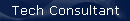 Tech Consultant